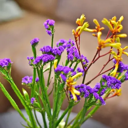 Domillion 2bdr President Palace Free Parking L417 빌뉴스