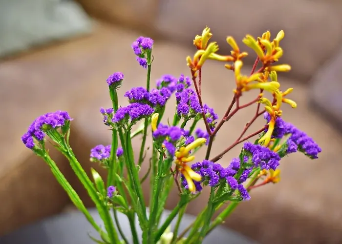 Domillion 2bdr President Palace Free Parking L417 Βίλνιους