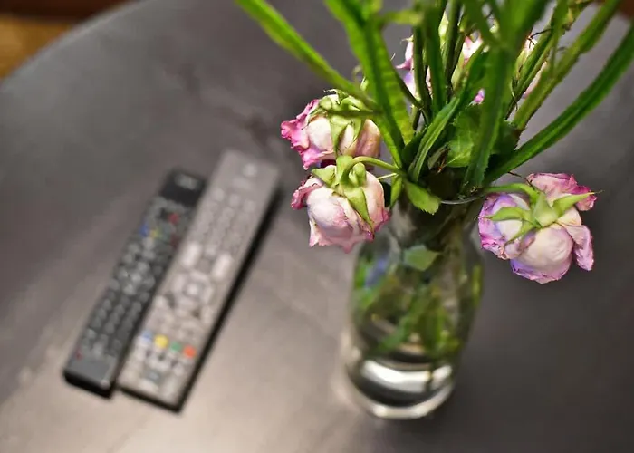 Domillion 2bdr President Palace Free Parking L417 * ヴィリニュス