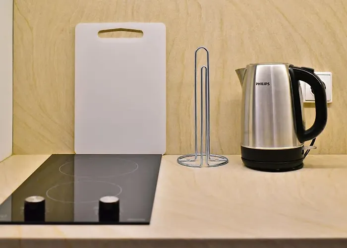 アパート Domillion 2bdr President Palace Free Parking L417 ヴィリニュス