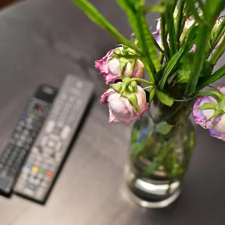 Domillion 2bdr President Palace Free Parking L417 * Vilnius